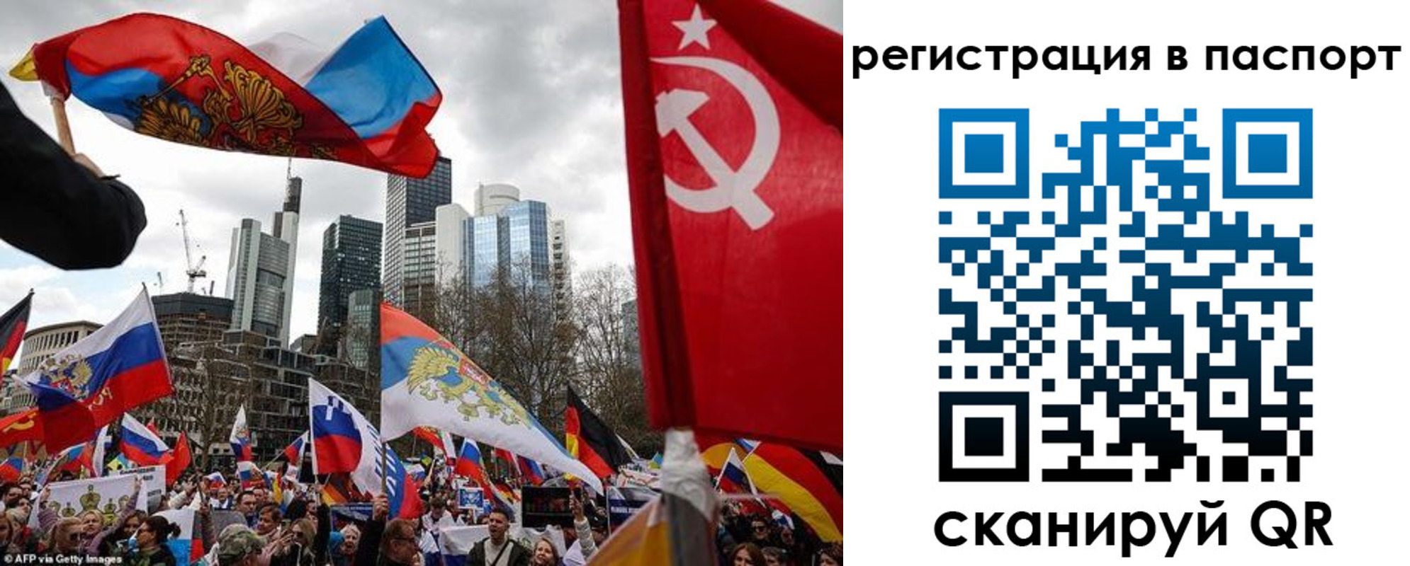 временная регистрация поиск в Камчатской области